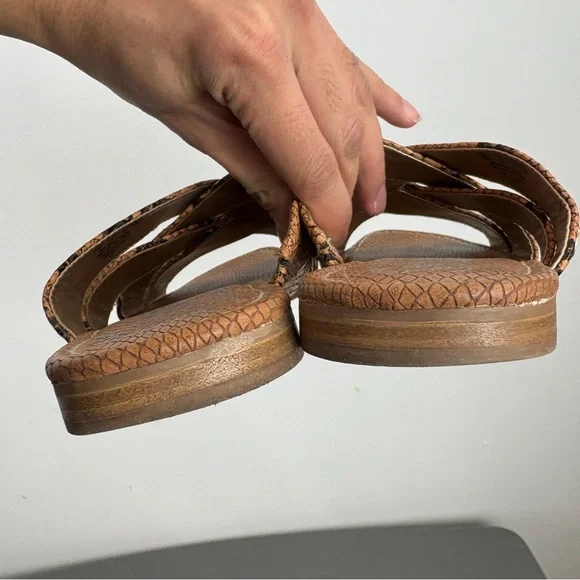 Circus by Sam Edelman Burnett Snakeskin Slip-On Sandals | Crisscross Slide Flats - Picture 5 of 7